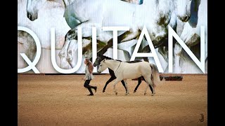 Our performances at the Equitana 2022 [upl. by Arlina]