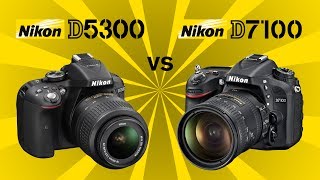 Nikon D5300 vs Nikon D7100 [upl. by Auqenwahs]