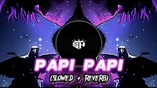 papi papi remix arabic song slowed  reverb  bass  boosted🎶🎧 [upl. by Munro535]