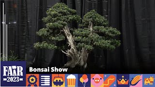 Bonsai Show – Fair 2023 [upl. by Michelsen432]