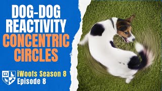 Concentric Circles Training Technique  iWoofs S8E8 [upl. by Lamond]