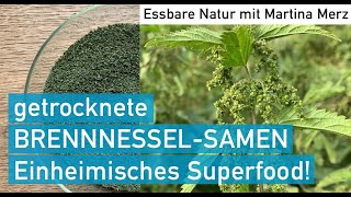 Getrocknete BrennnesselSamen – einheimisches aphrodisaisches Superfood [upl. by Bruning]