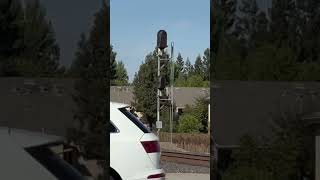 Block signal at CP 097 Hammer Lane changes to clear aspect Stockton CA  102124 [upl. by Pich66]