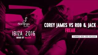 Corey James vs Rob amp Jack  Freak Flamingo Ibiza 2016 Exclusive [upl. by Lister]