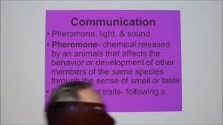 Lecture 10Pheromones and the Vomeronasal Organ [upl. by Ober]