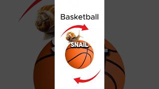 Snail 🐌 vs Bullet 💨 Epic Race—Basketball 🏀 vs Space Station 🛰️ [upl. by Kerwon]