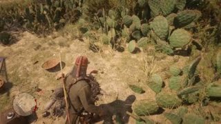 Roaming the desert and found a skull cap and chinese guy with a letter cool hat Johnmarston skull [upl. by Yokoyama]