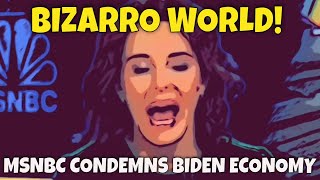 BIZARRO WORLD MSNBC BLASTS Economic Advisor to Joe Biden [upl. by Llenroc]