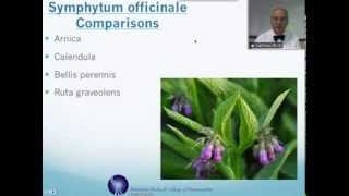 Symphytum officinale Homeopathic Medicine Tips For Beginners [upl. by Ella477]