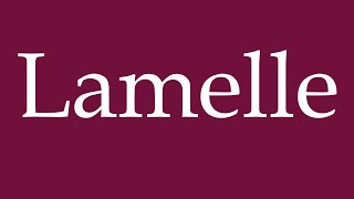 How to Pronounce Lamelle Correctly in German [upl. by Hsac]