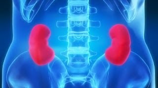 4 Minute Healing Sounds Qi Gong for Healthy Kidneys [upl. by Ecile]