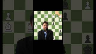 Hikaru Nakamura Brilliancy🗿 chess shorts [upl. by Nylaret]