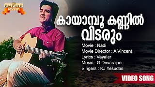 Kaayaampoo Kannil  Nadi Movie Song  A Vincent  Vayalar  G Devarajan  KJ Yesudas [upl. by Womack433]