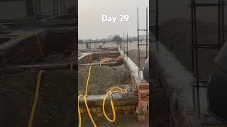 A Life fascinating step by step house building guide Day 29 lifeblog homebuilding viralvideo [upl. by Eiramit323]