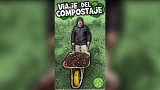 COMPOSTAJE en 20 Segundos ♻️ Reciclaje de Residuos Orgánicos en Abono Natural [upl. by Wixted]