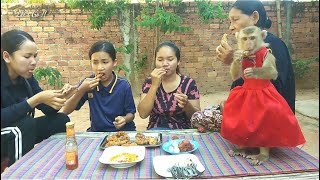 Chicken RecipeHomemade Chicken Frying In Monkey Family [upl. by Emanuel]