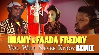 Imany amp Faada Freddy  You Will Never Know REMIX [upl. by Cathryn310]