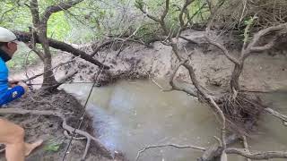 Barramundi fishing in croc infested Darwin creeks [upl. by Nylarad]