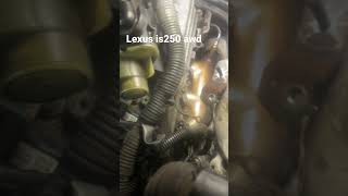 Lexus IS 250 All wheel drive starter replacement [upl. by Nedi]