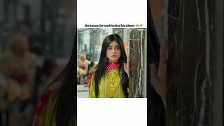 🥺🥀 seharkhan mukhtar andaleeb numair jafaa heartbroken pakistanidrama edit trending [upl. by Bohaty]