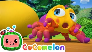 Itsy Bitsy Spider  CoComelon Nursery Rhymes amp Animal Songs [upl. by Simons]