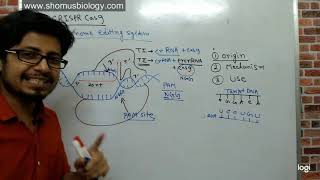 Crispr cas9 gene editing explained [upl. by Asseret996]