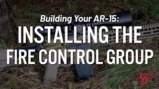 Building Your AR15 Installing the Fire Control Group [upl. by Olen]