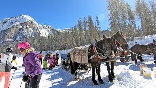 The hidden valley Alta Badia a ski run ending with a horse tow [upl. by Eniamrej]