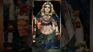 Radha rani meri hai song likes shorts videos  radhe radhe [upl. by Sheley]