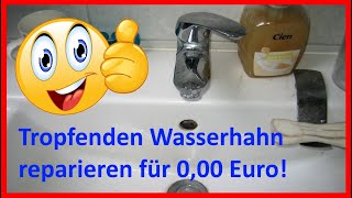 Tropfenden Wasserhahn reparieren Einhandmischer Kartusche Patrone ausbauen entkalken und fetten [upl. by Llenil]