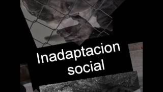 Menores en riesgo Inadaptacion social [upl. by Yatnod]