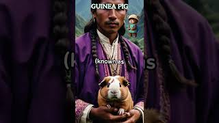 GUINEA PIG FUN FACT animalsshorts fun FACT [upl. by Wilmer]