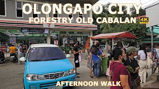 AFTERNOON WALK AT FORESTRY OLD CABALAN OLONGAPO CITY 4K HDR [upl. by Zorine917]