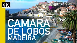 ULTIMATE Câmara De Lobos Guided Tour Madeira Portugal  4K Walking tour [upl. by Burack]