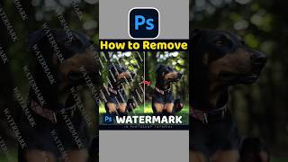 Watermark Remove In Adobe Photoshop ✅ photoshop adobephotoshop photoshoptutorial [upl. by Dreher]