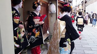 How to meet a Geisha other than Gion in Kyoto  Miyagawacho  Amazing Kimono and Obi  Japan Travel [upl. by Gigi]