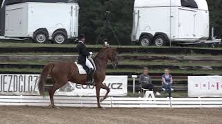 Fritz Gaulhofer  SAINT LAURENT  Grand Prix Special – CDI Brno 2018 [upl. by Toole]