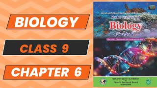 Biology 9 New Book Chapter 6 Molecular Biology Topic 6 Complete Explanation NBF 2024 Federal Board [upl. by Suoilenroc]