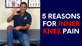 Top 5 Most Common Causes For Inner Knee Pain [upl. by Bouchard]