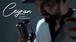 Ahmed Mustafayev — Ceyran Rəsmi Musiqi Videosu  2023 [upl. by Anny]