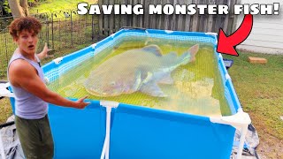 I Saved My LARGEST PET Fish From DEADLY Disease [upl. by Lecia416]