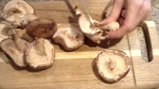 How to Prepare Shiitake Mushrooms for a Stir Fry [upl. by Port]