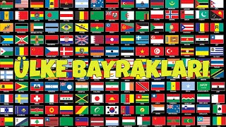 Dünya Bayrakları  1  Ülke Bayrakları  World Flags HD [upl. by Eytteb]