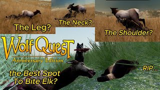 Where Is The Best Spot To Bite Elk At [upl. by Rialb]