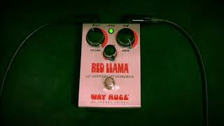 WAY HUGE RED LLAMA 25TH ANNIVERSARY OVERDRIVE Pedal with Blues Jr  Sound Check【魔法の箱研究所】 [upl. by Ariait]