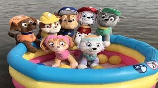 Patrulla canina español FIESTA ACUATICA EN LA PLAYA CON PISCINA DE BOLASPaw Patrol 90 [upl. by Aneerak]