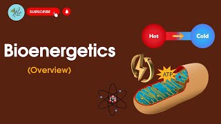 Introduction to Bioenergetics  Bioenergetics overview  Class 11 [upl. by Whorton]