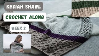 Keziah Shawl Crochet Along Week 2 How to work the colourwork section [upl. by Harris]