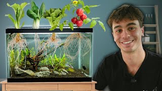 I Grew 7 Easy Vegetables in My Aquarium [upl. by Notlrahc]