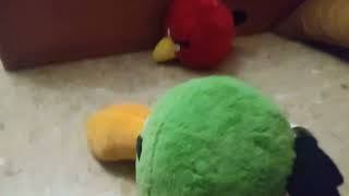 OSO MARRON DE SILICONA VS ANGRY BIRDS [upl. by Netneuq]